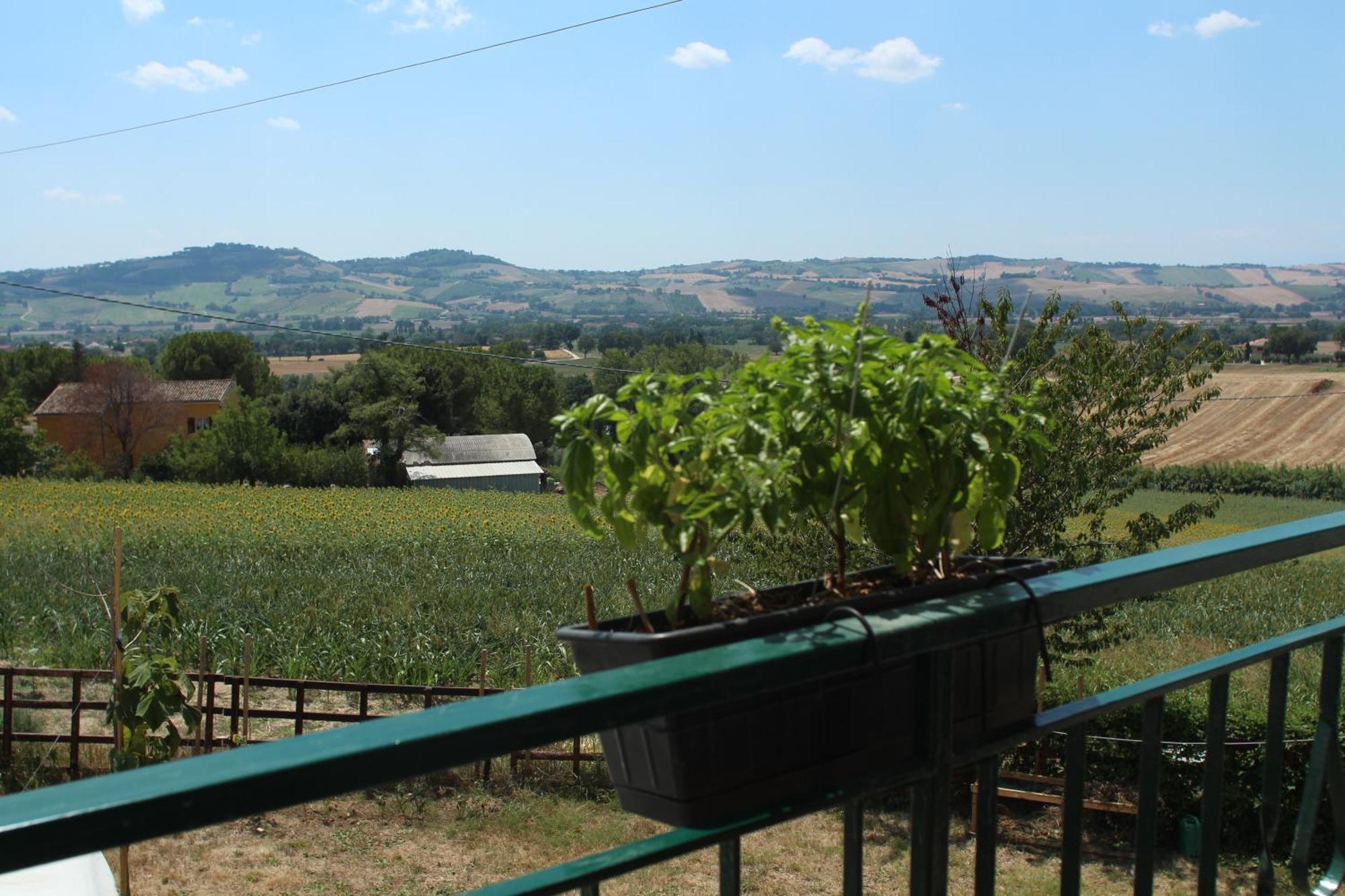 Casa Formica Apartment San Pietro di Recanati ภายนอก รูปภาพ